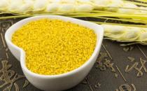 胃火旺盛怎么辦？7種食物助你調(diào)理