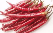 不同地區感冒食療