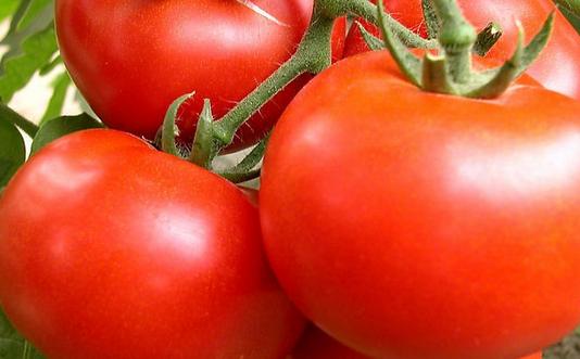 推薦:最養男人的12種食物