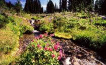 Hiking運動是什么意思？Hiking需要什么裝備？