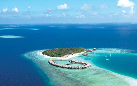 外出旅游要注意避開這些毒物！