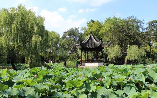 不得不去的經(jīng)典園林:拙政園