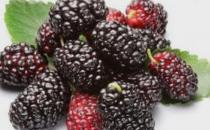 女人延緩衰老五保養秘笈