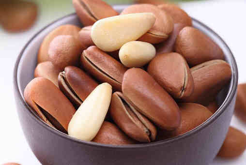 松仁的食用禁忌一覽