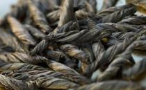 喝苦丁茶有什么好處？如何挑選苦丁茶？