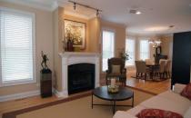 剛裝修好的房子放什么植物？