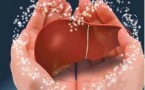 男人應酬需注意養肝護肝