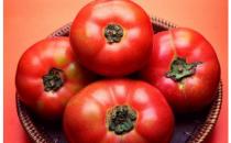 適合現代男性的黃金食物