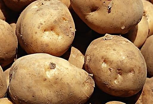 結石病人不能吃哪些食物?