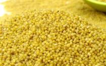 胃寒吃什么好？飲食調理胃寒的方法