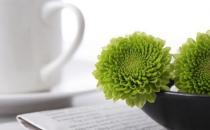 凈化器如何保養和清潔？