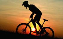 怎樣挑選適合你的老板？