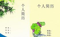 求職簡歷通常用哪些類型？