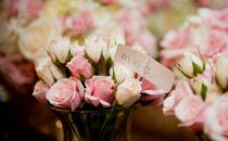 面試時展示你的職業(yè)風(fēng)采