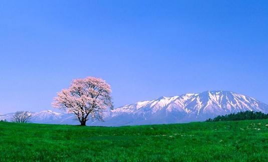 90后初入職場如何排除職場路障？