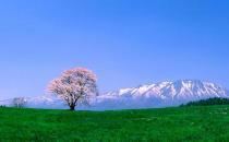 90后初入職場如何排除職場路障？