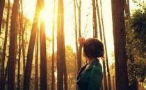 職場新人如何發泄自己的情緒？