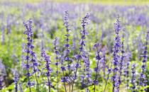 身在職場(chǎng)必須明白的“潛規(guī)則”