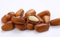 松子有哪些營養價值？