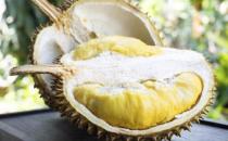 如何挑選一個美味榴蓮？
