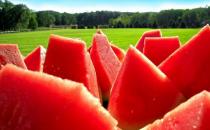 夏季養生多吃瓜：香瓜促消化