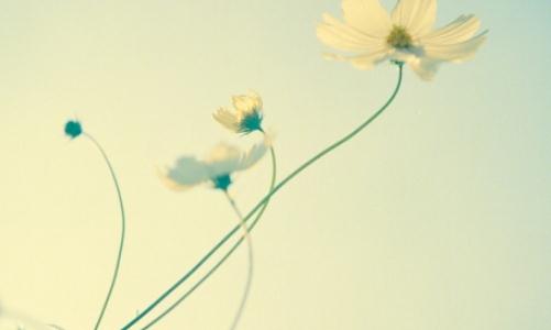 如何看出他是否傾心于你