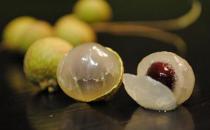 龍眼補氣養血的食譜