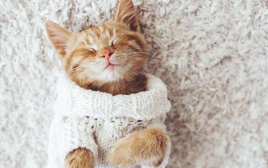 如何解決拖延癥？