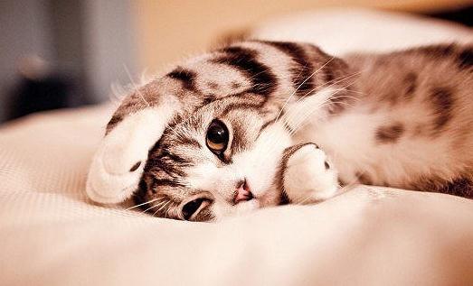 “起床氣”是如何煉成的？