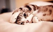 “起床氣”是如何煉成的？