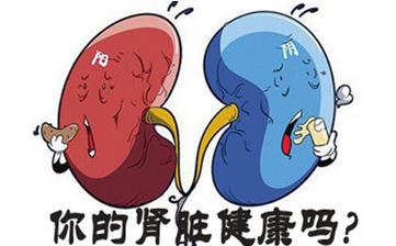 【腎虛】腎虛的表現(xiàn)_腎虛吃什么_腎虛的原因_腎虛的癥狀有哪些 【腎虛】腎虛的表現(xiàn)_腎虛吃什么_腎虛的原因_腎虛的癥狀有哪些