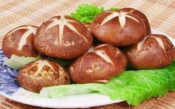 【香菇】香菇的營養價值_香菇怎么做好吃_香菇的做法大全_孕婦能吃香菇嗎 【香菇】香菇的營養價值_香菇怎么做好吃_香菇的做法大全_孕婦能吃香菇嗎