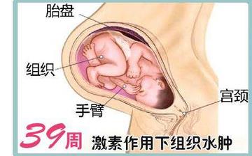 【懷孕39周】懷孕39周發育指標檢查_懷孕39周胎兒變化_媽媽狀態_懷孕39周注意事項