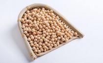 黃豆的營養價值竟然那么強大？