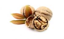 這些養生寶貝竟然都被丟掉啦！