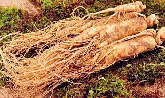 盤(pán)點(diǎn)中醫(yī)常用的5種美容藥物