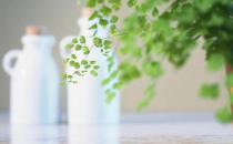 小技巧讓男人更愛(ài)你