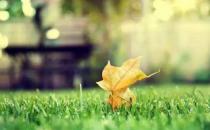 老公出軌 如何走出痛苦期？