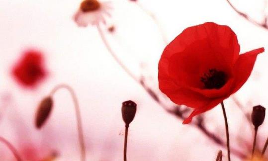 不孕不育的癥狀都有哪些？