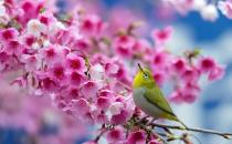 如何預(yù)防性??？