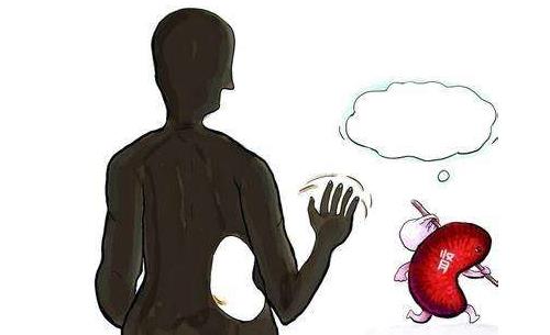 腎功能檢查什么？腎功能檢查的項目