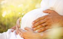 胎動的規律和變化