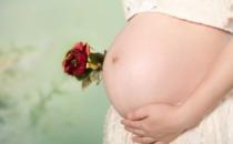 懷孕9個月需要哪些營養