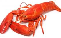 月經期可以吃龍蝦嗎 龍蝦怎么吃更好