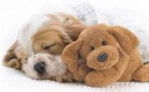 發作性睡病能自愈嗎？發作性睡病怎么治療