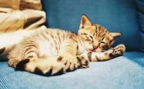 昏睡怎么辦？什么是昏睡癥