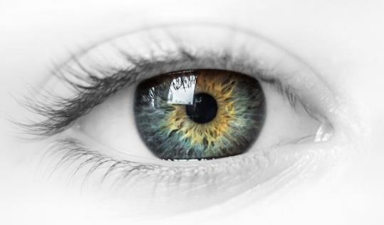 白領吃什么可以預防干眼癥