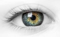 白領吃什么可以預防干眼癥