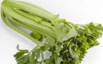 男性多吃芹菜可避孕 是有科學根據的