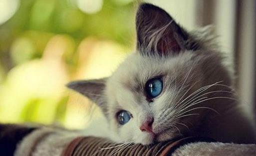 身體疾病信號一定要小心!